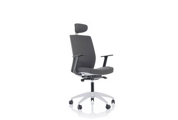 VENÜS GT YÖNETİCİ KOLTUĞU