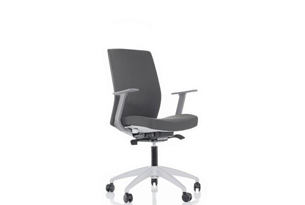 VENÜS GT ÇALIŞMA KOLTUĞU