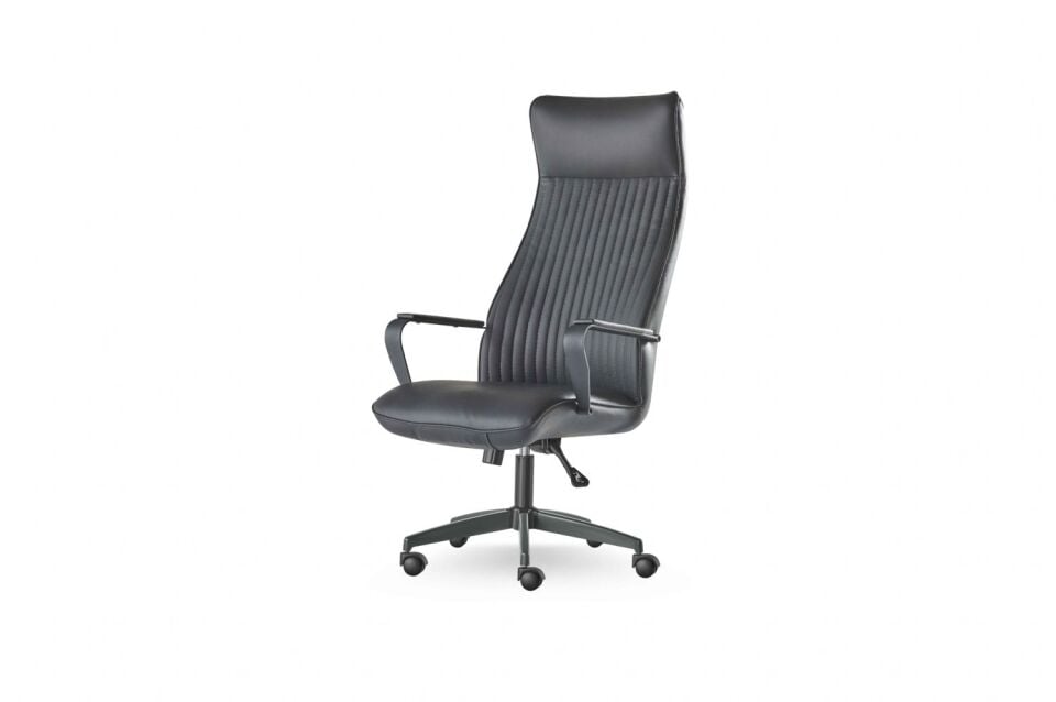 EFRA YÖNETİCİ KOLTUĞU