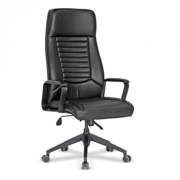 South Yönetici Koltuğu