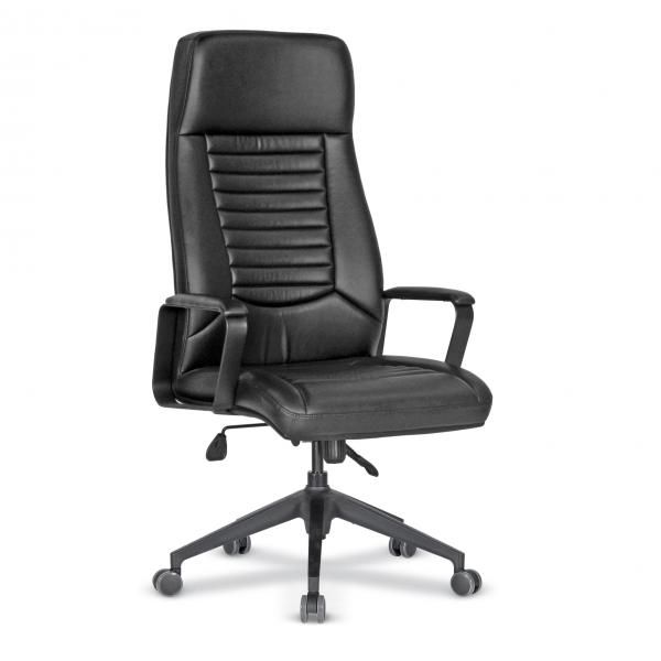 South Yönetici Koltuğu