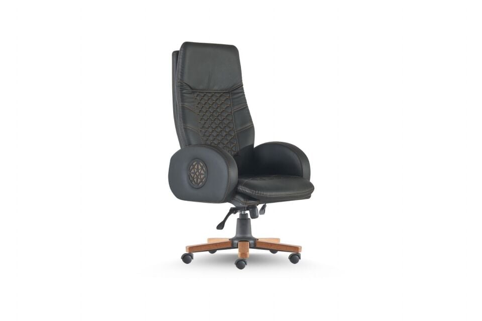 TRUVA YÖNETİCİ KOLTUĞU